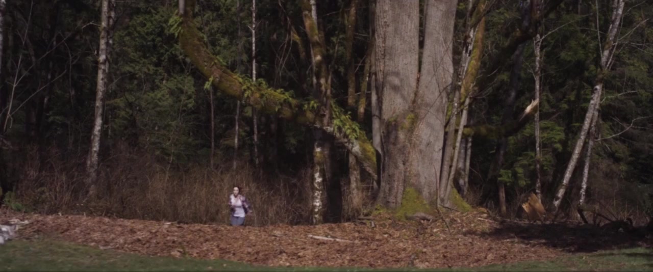 Vengeance screenshot 2