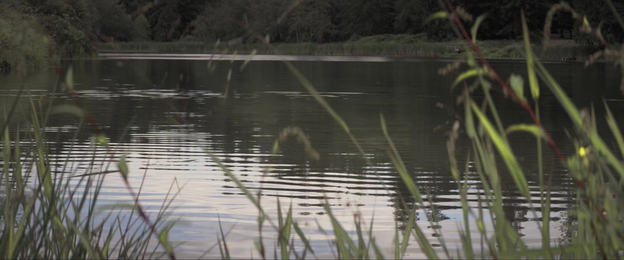Vengeance screenshot 3