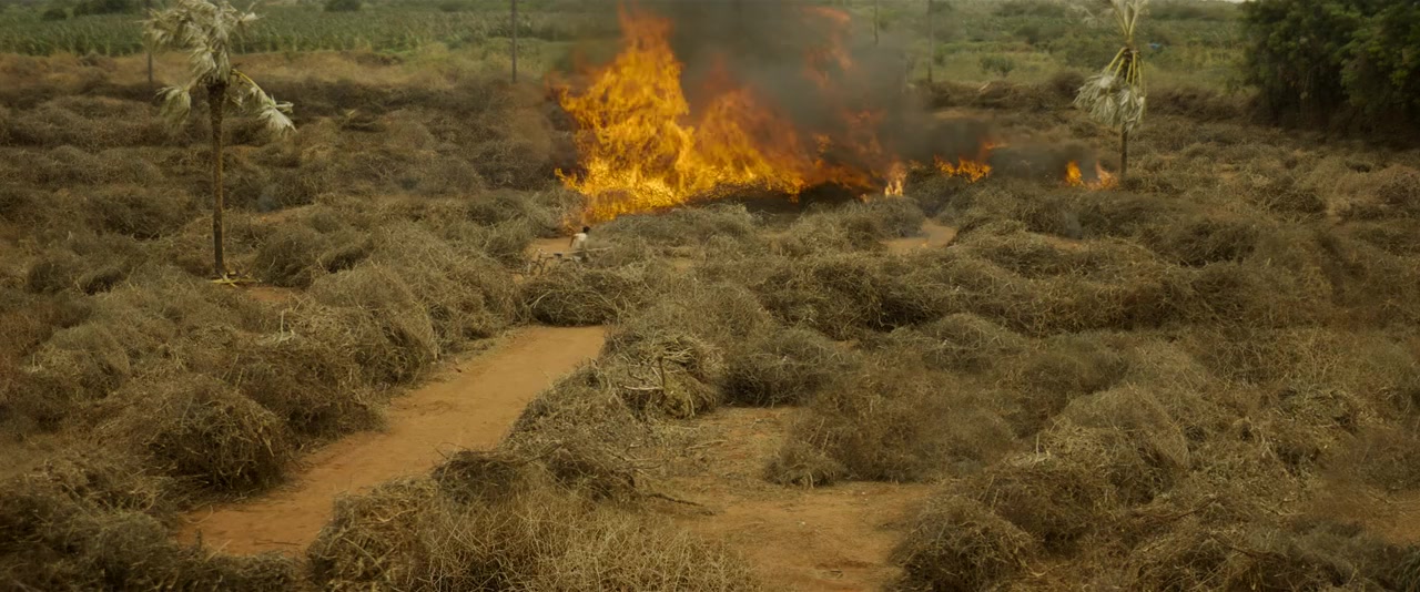 Vendhu Thanindhathu Kaadu screenshot 1