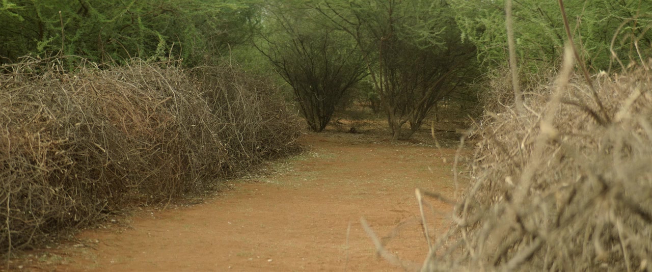 Vendhu Thanindhathu Kaadu screenshot 2