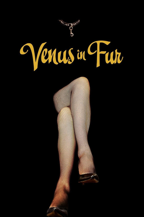 La Vénus à la fourrure (2013) poster