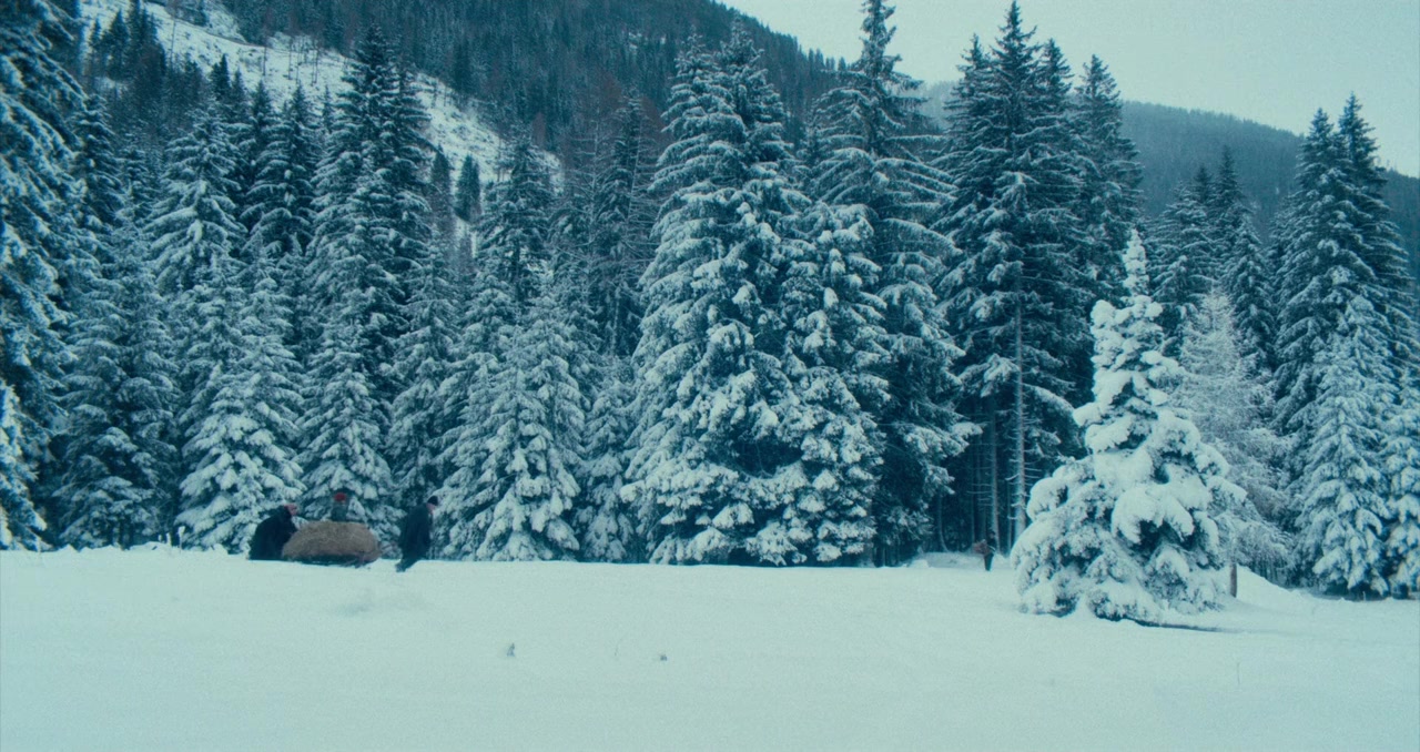 Vermiglio screenshot 1