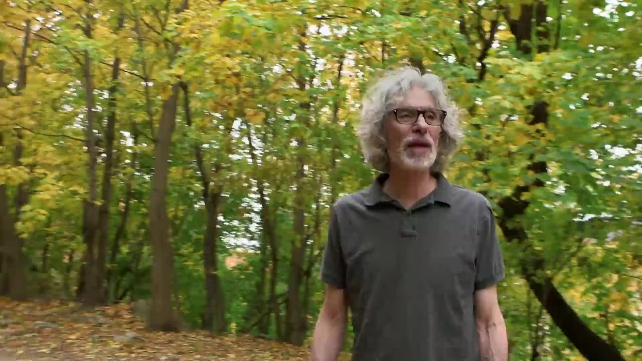 Very Semi-Serious screenshot 2