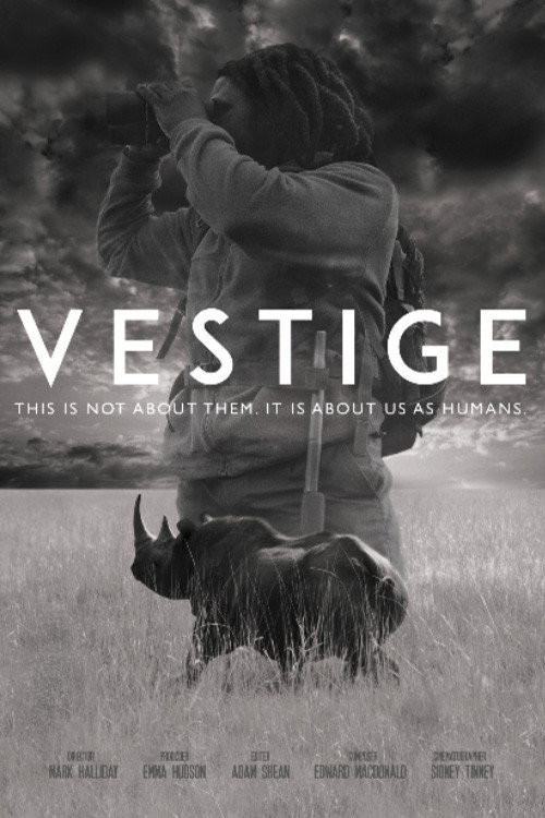 Vestige (2018) poster