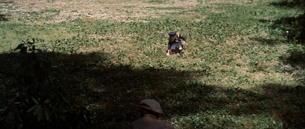 Viva Maria! screenshot 1