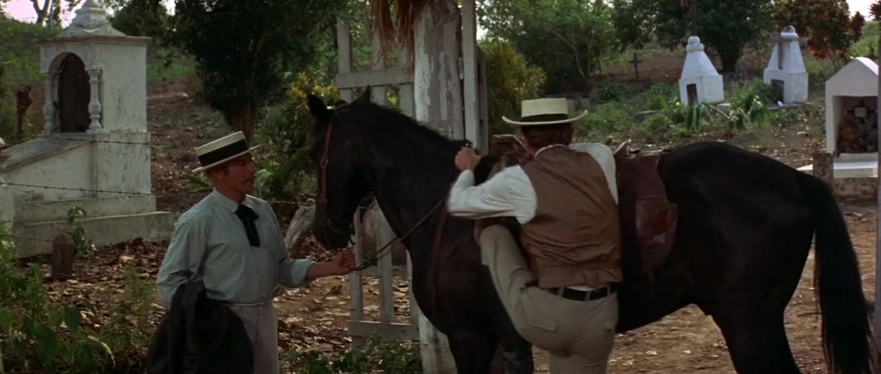 Viva Maria! screenshot 3