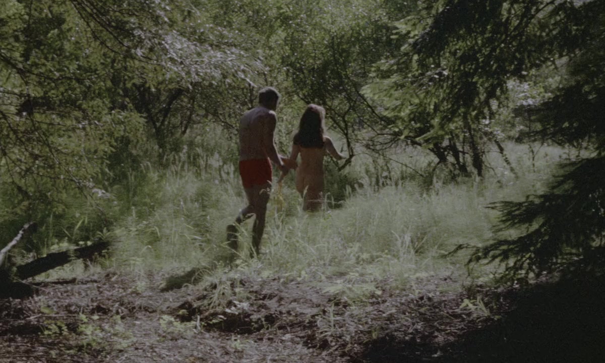 Vixen! screenshot 1