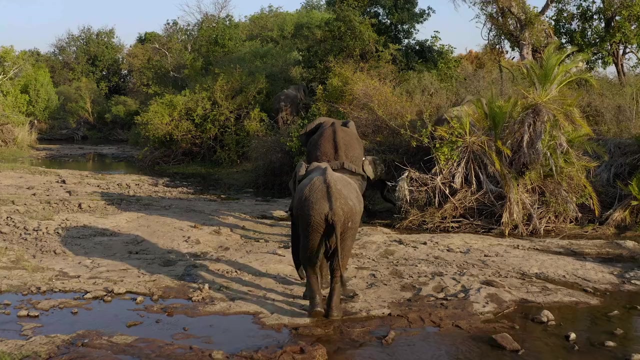 Die Viktoriafälle: Afrikas Garten Eden screenshot 1