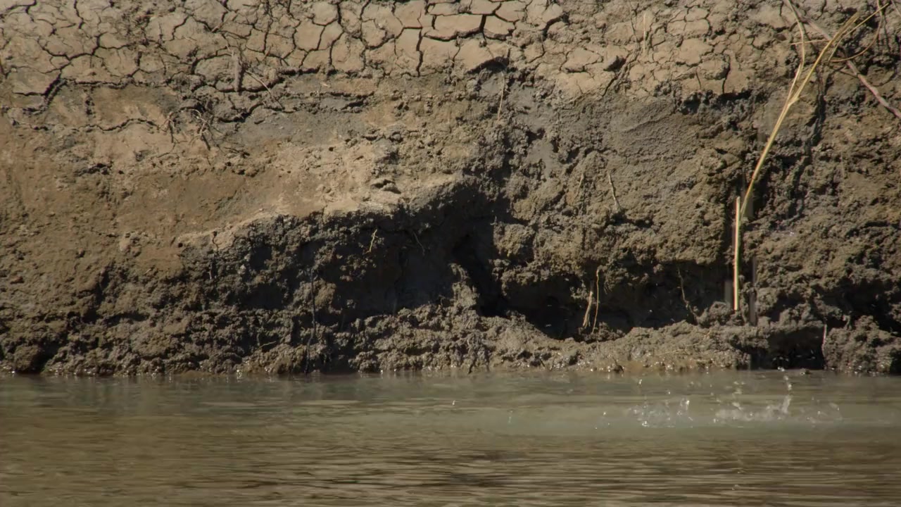 Die Viktoriafälle: Afrikas Garten Eden screenshot 3