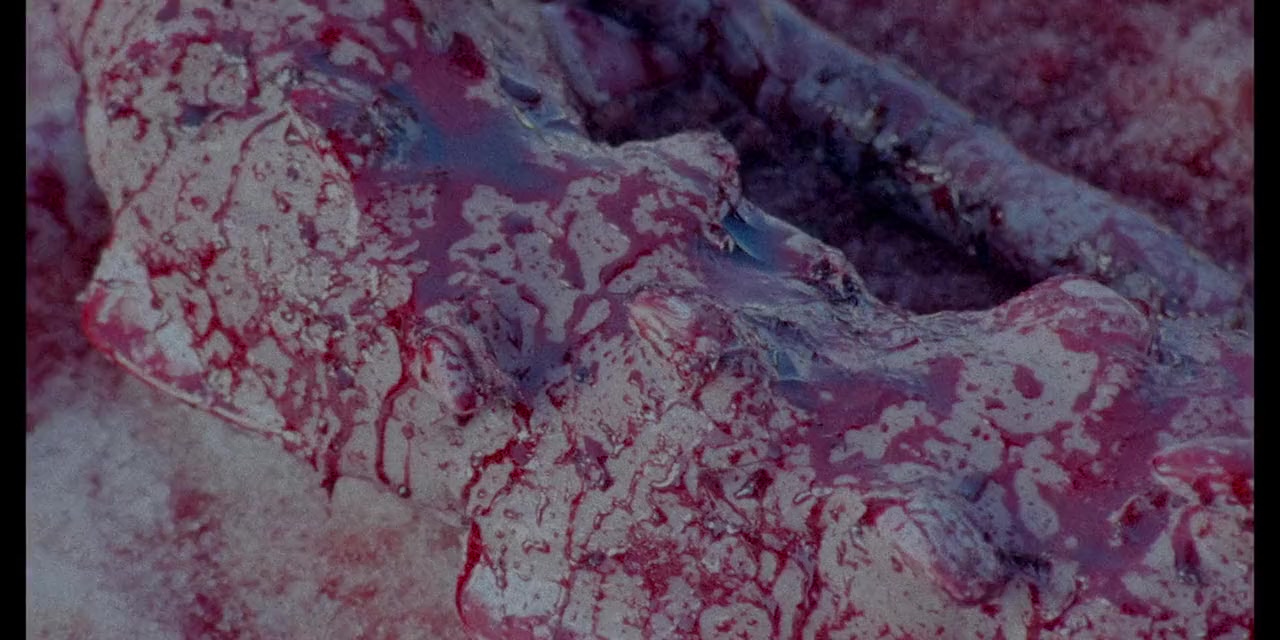 Videoteka screenshot 1