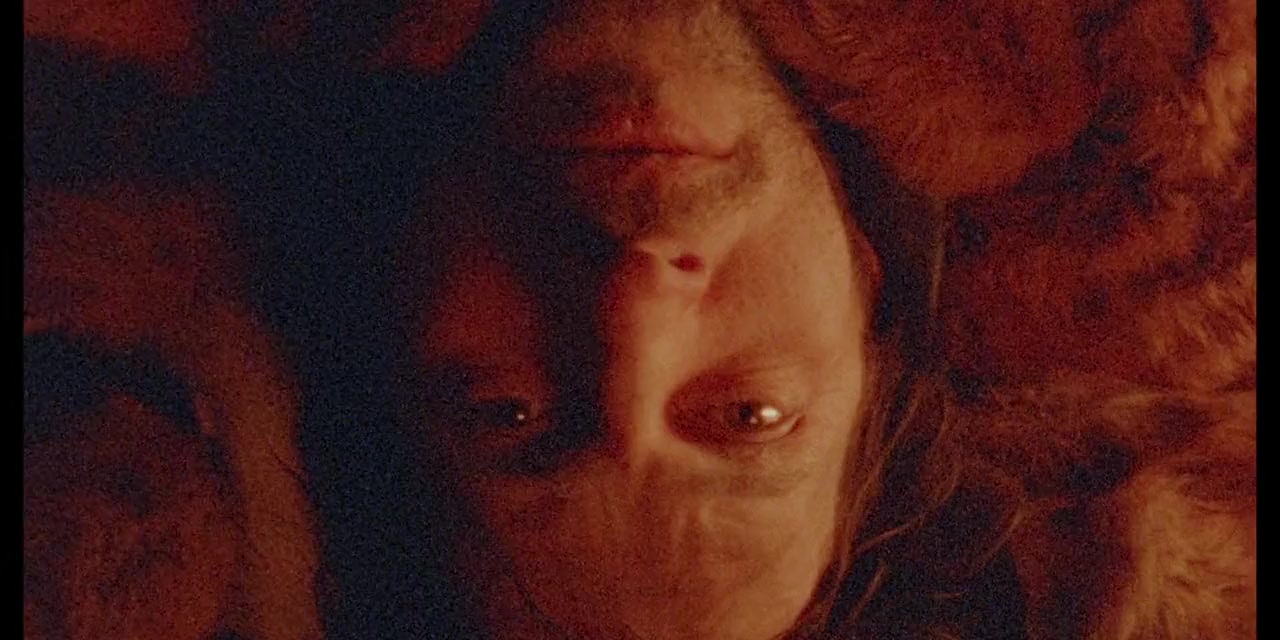 Videoteka screenshot 2