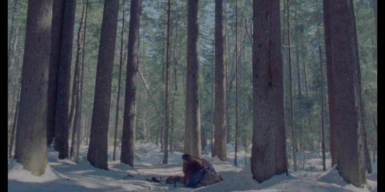 Videoteka screenshot 3