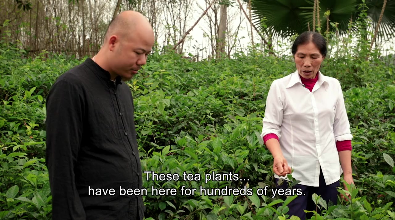 Vietnam: Fast Forward screenshot 2