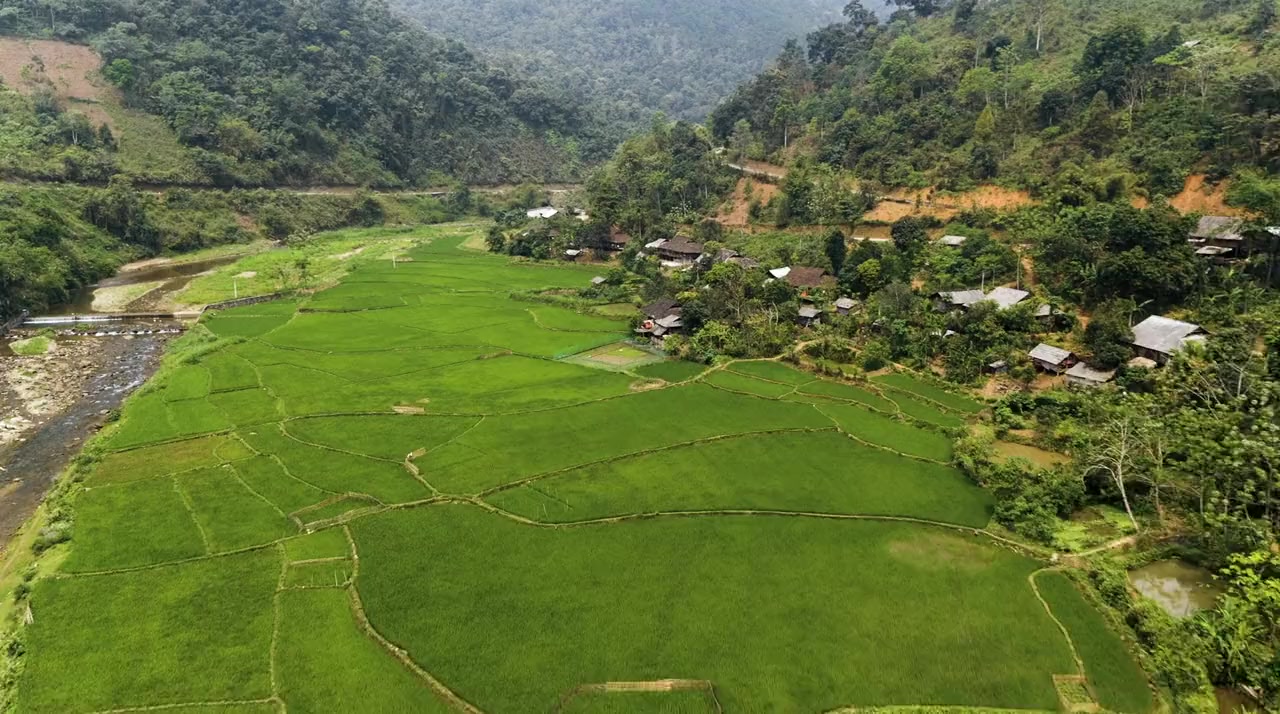 Vietnam: Fast Forward screenshot 3