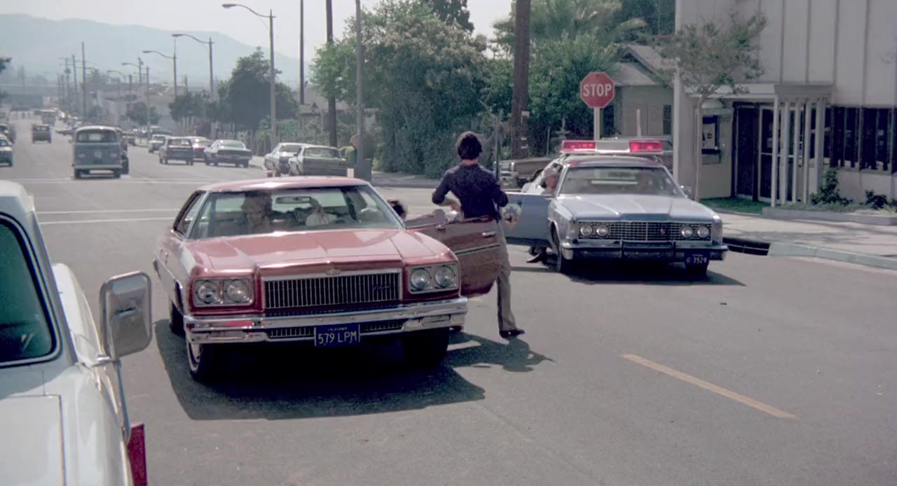 Vigilante Force screenshot 1
