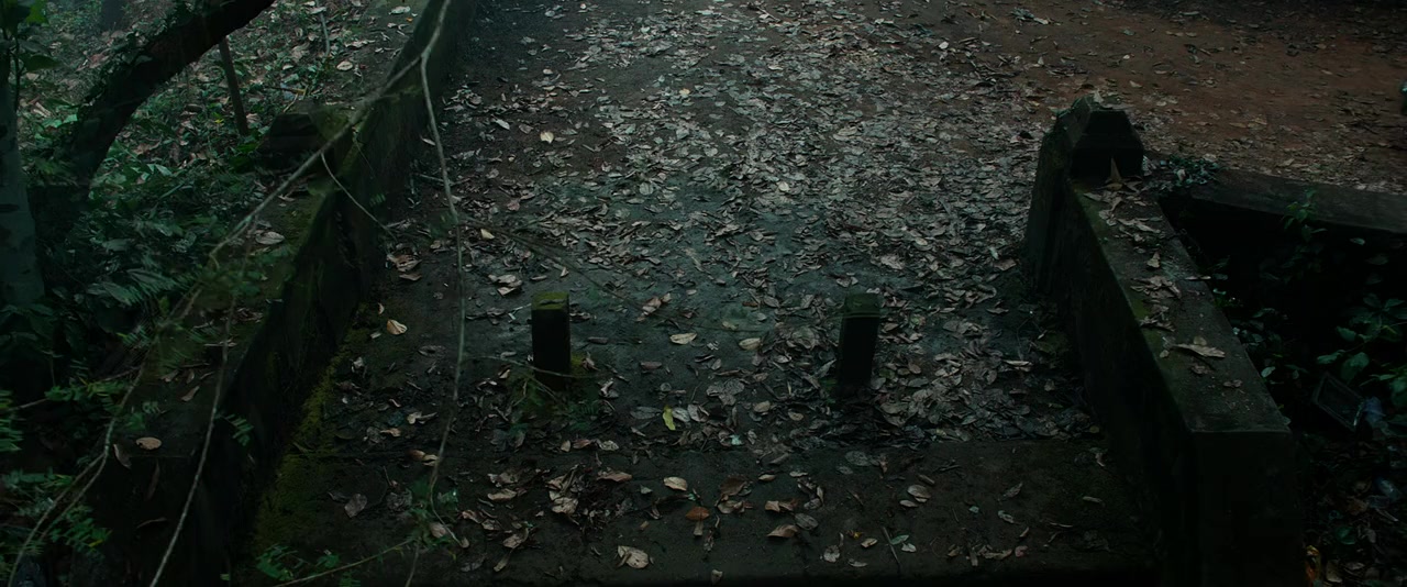 VR (Vikrant Rona) screenshot 1