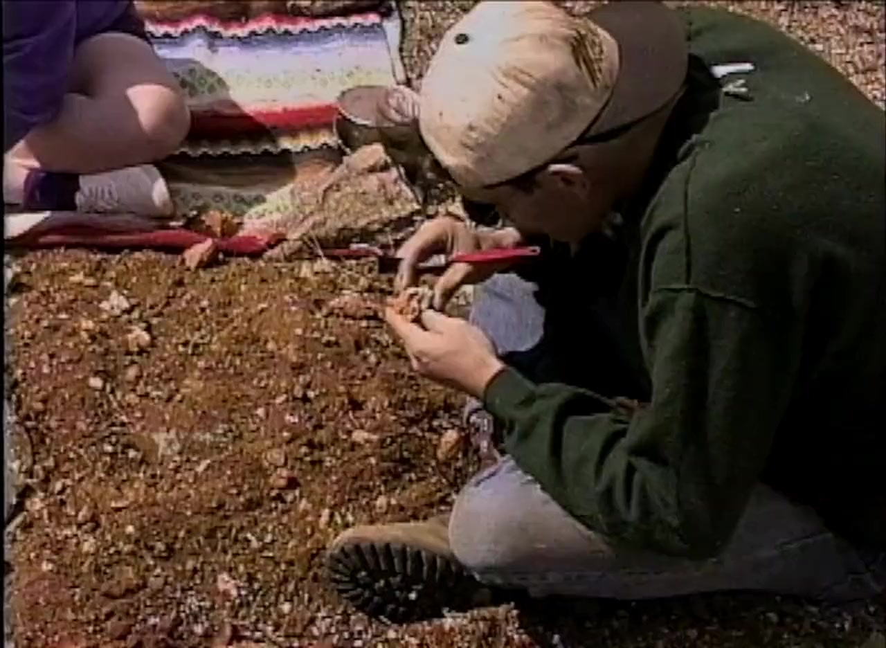 Vile 21 screenshot 2