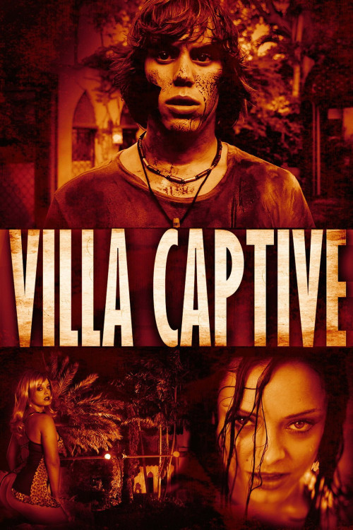 Villa Captive (2011) poster