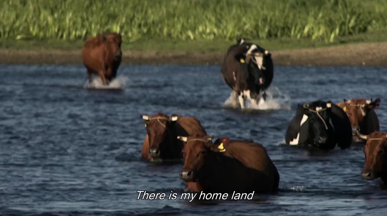 Village of Swimming Cows screenshot 2
