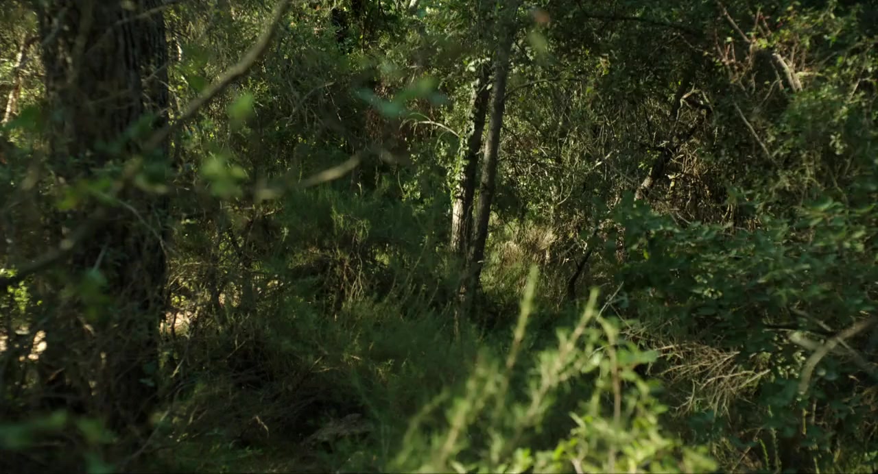 Vincent n'a pas d'écailles screenshot 2