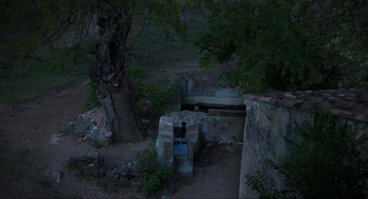 Vincent n'a pas d'écailles screenshot 3