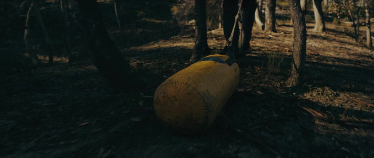 Vincent screenshot 3