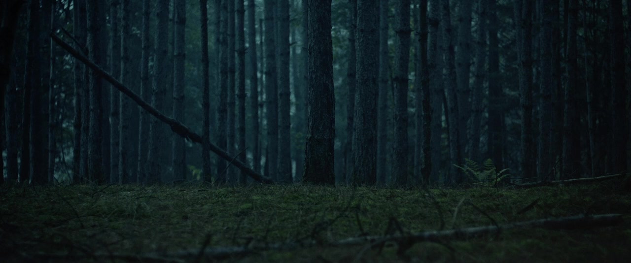 Violation screenshot 3