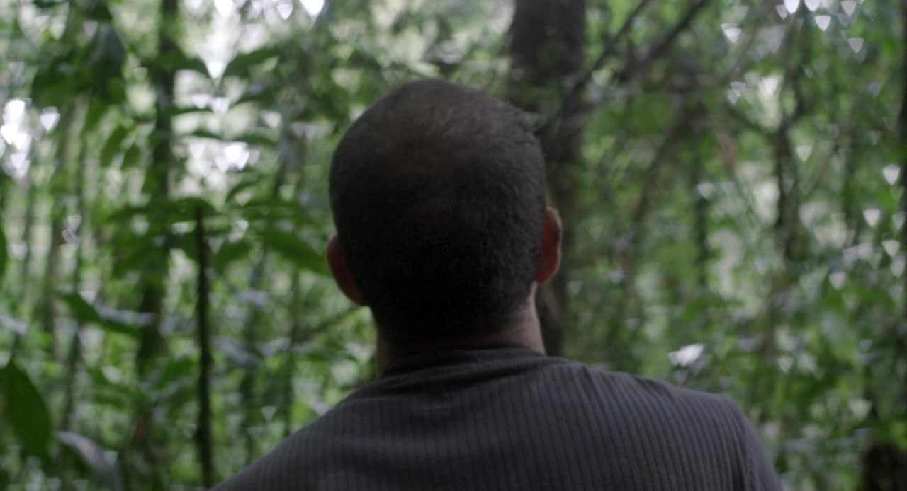 Violencia screenshot 2