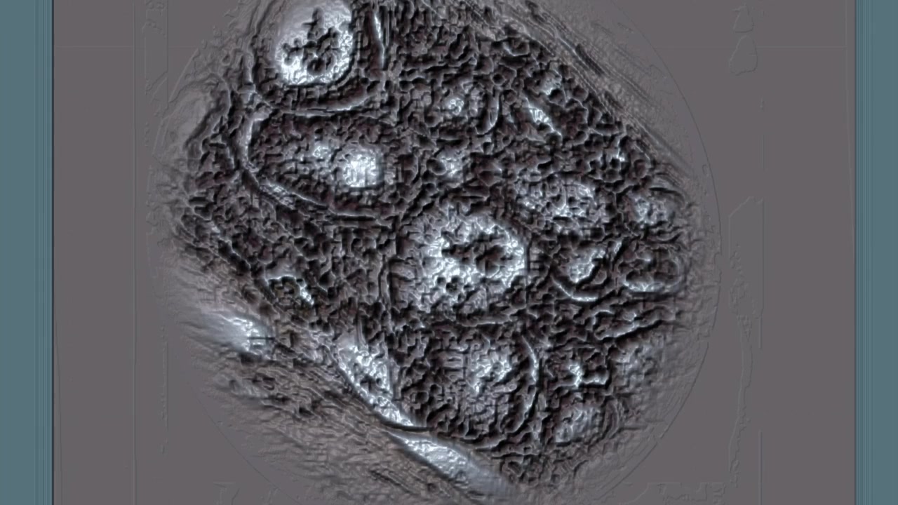 Vipers screenshot 3