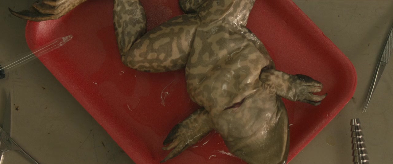 Viral screenshot 2