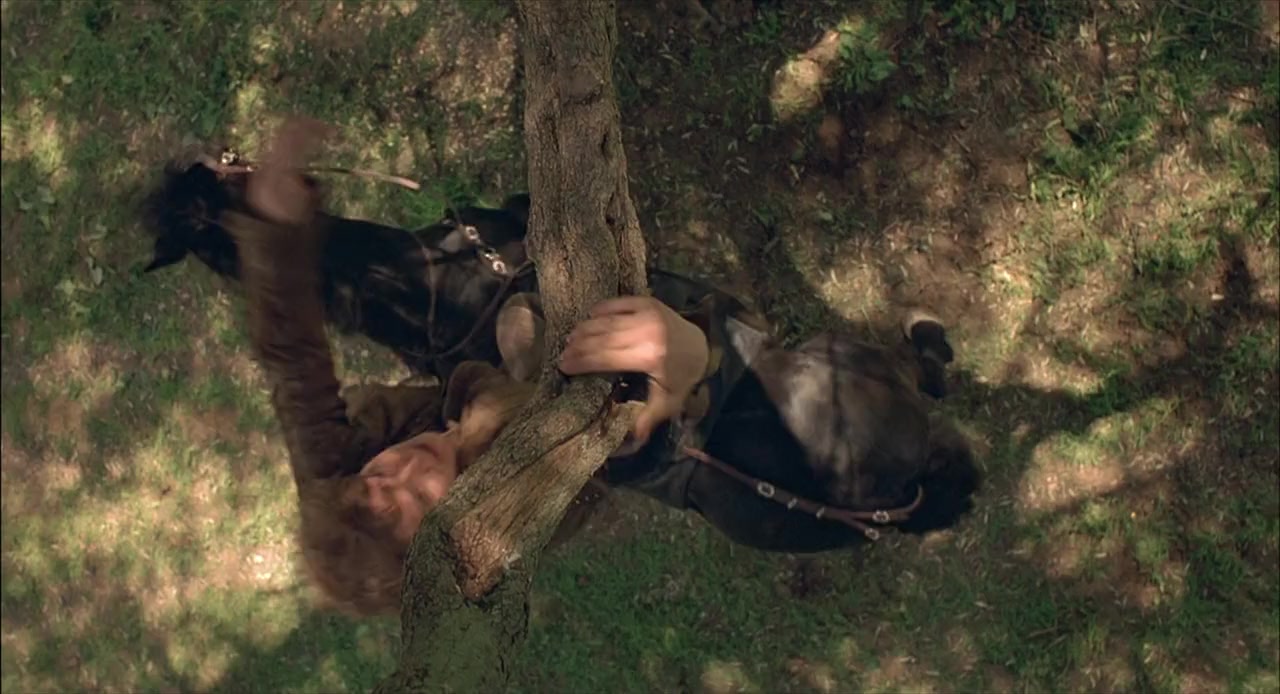 Virgin Territory screenshot 2