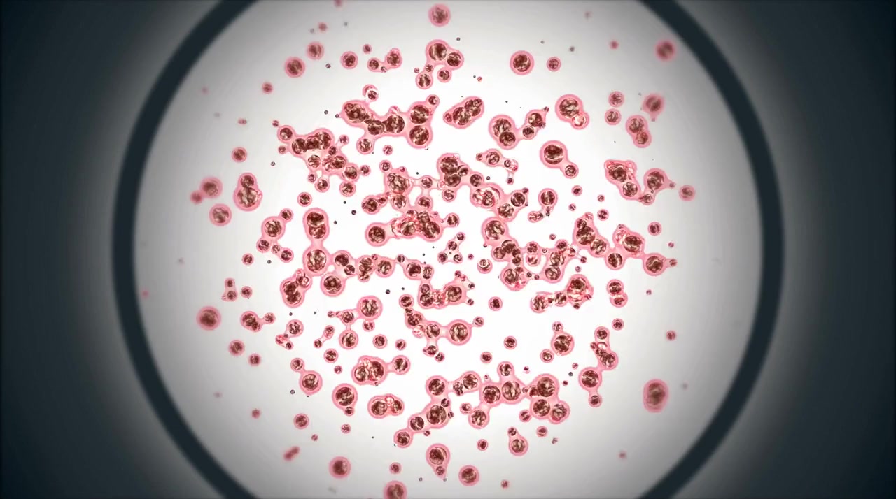 Virus Shark screenshot 3