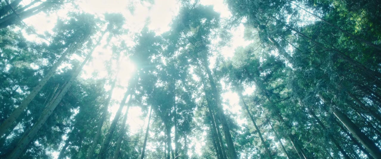 Vision screenshot 1