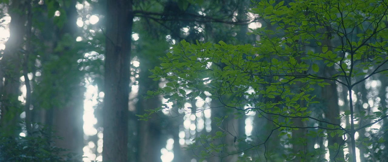 Vision screenshot 2