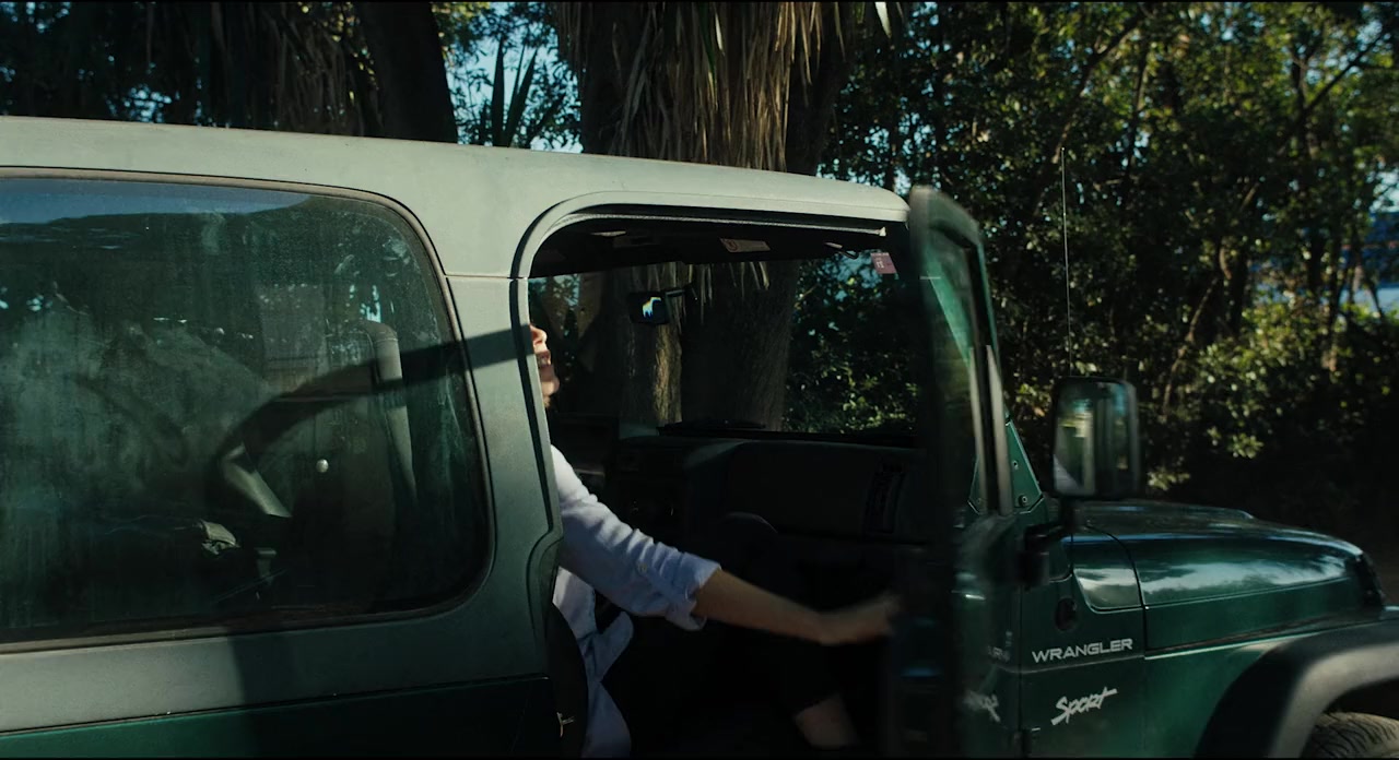 Visitante screenshot 1