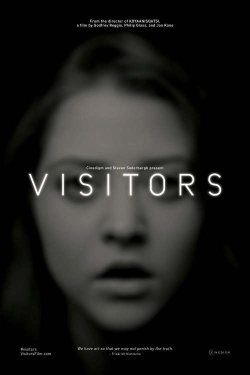 Visitors (2013) poster