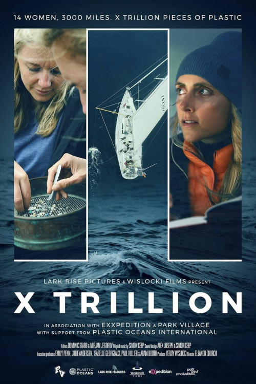 X Trillion (2024) poster