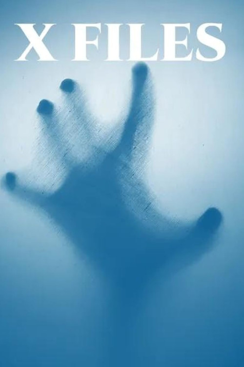 X Files (2023) poster