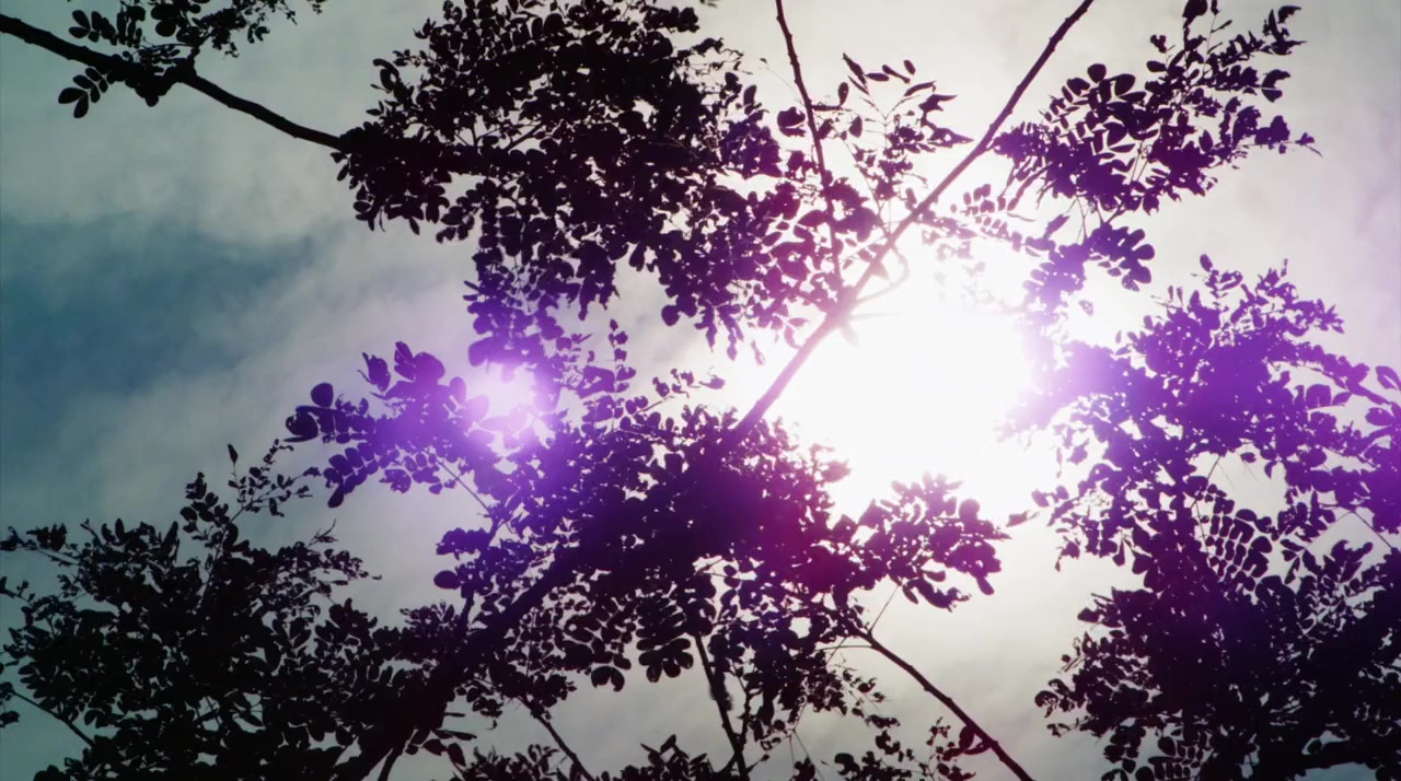 Xiao Yong Chun screenshot 1