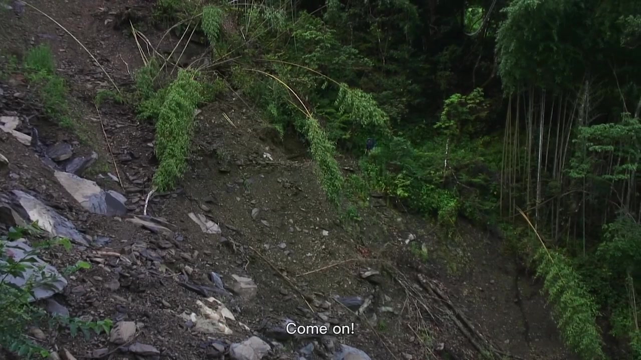 Xue shui xiao rong de ji jie screenshot 1