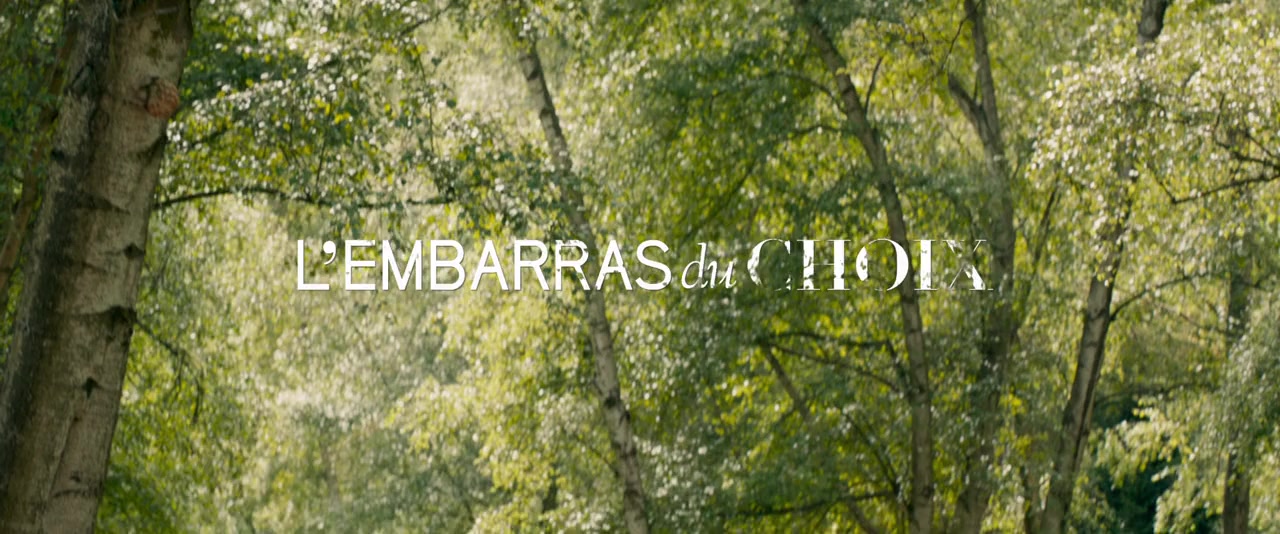 L'embarras du choix screenshot 2