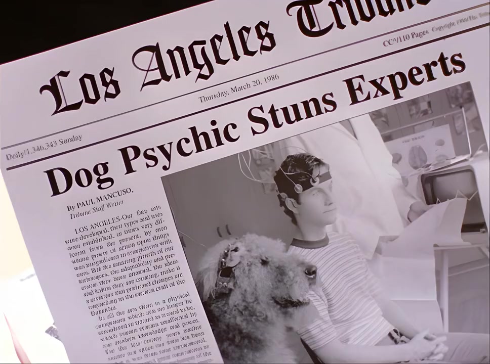 You Lucky Dog screenshot 2
