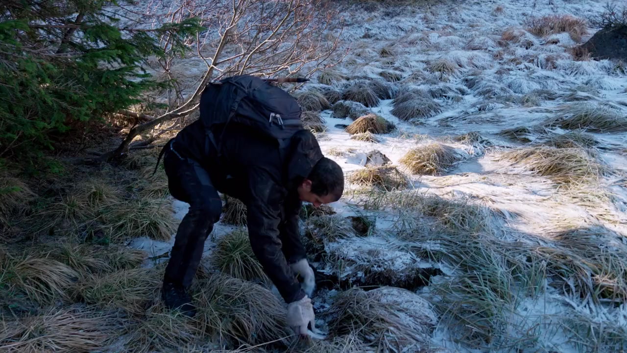 You vs. Wild: Out Cold screenshot 1
