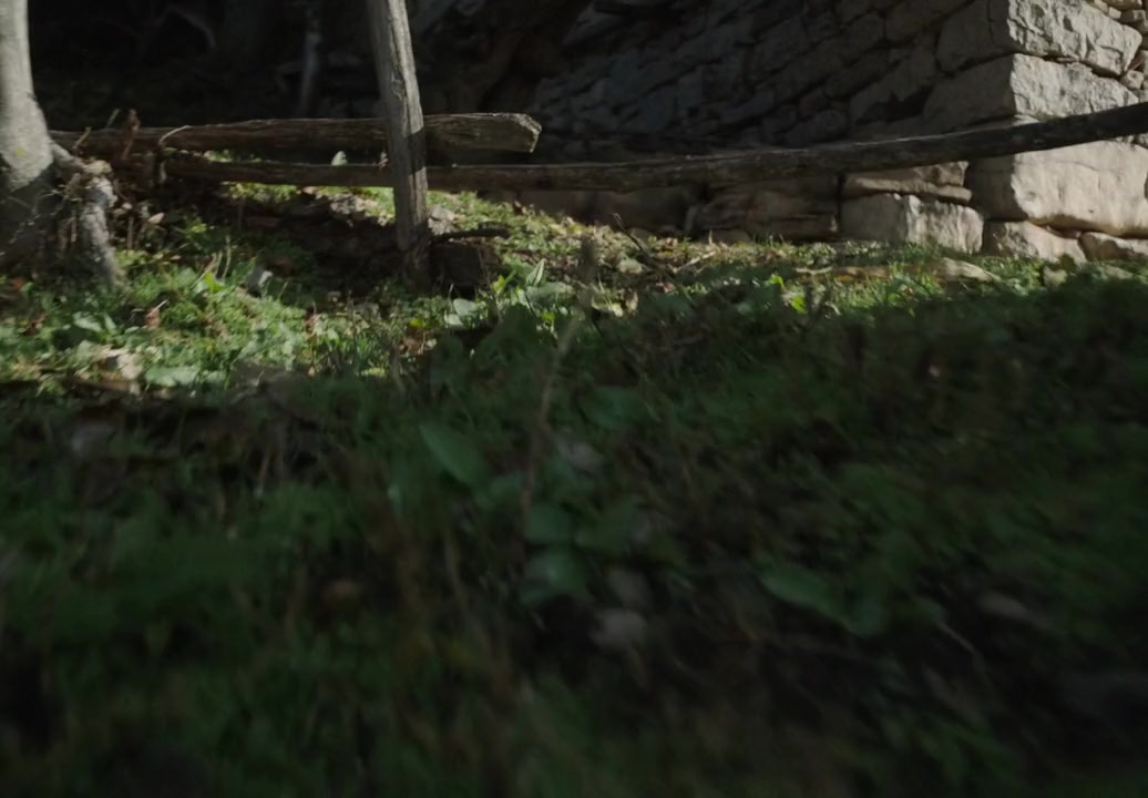 You Won't Be Alone screenshot 3