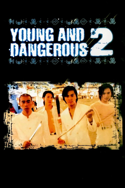Goo wak chai 2: Maang lung gwoh gong (1996) poster