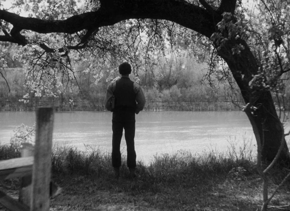 Young Mr. Lincoln screenshot 1