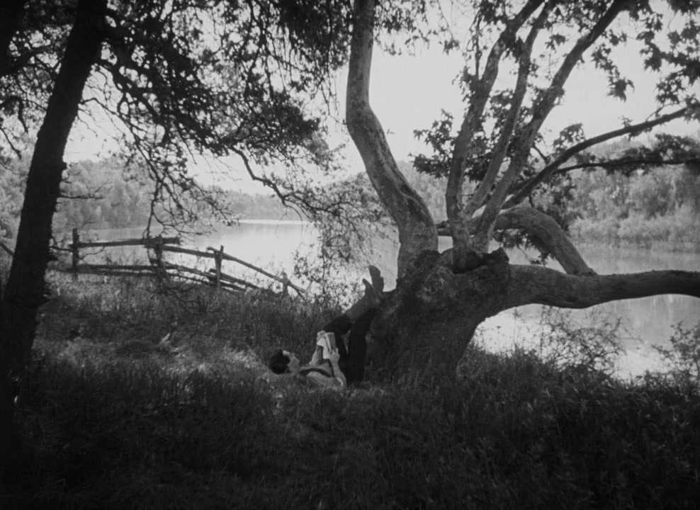 Young Mr. Lincoln screenshot 3