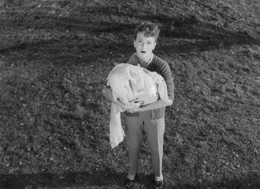 Young Wives' Tale screenshot 1