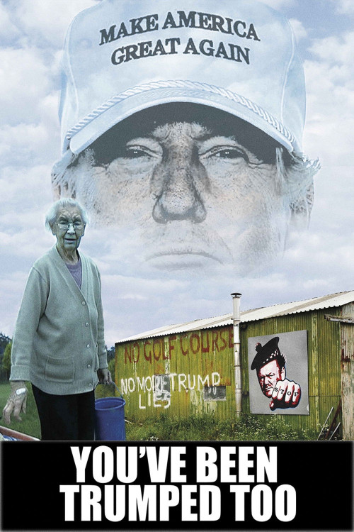 You've Been Trumped Too (2016) poster