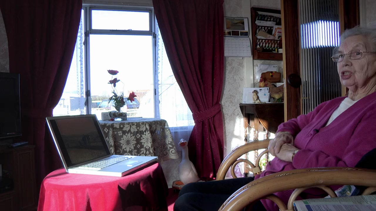 You've Been Trumped screenshot 1